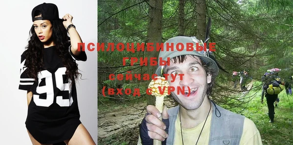 spice Верхний Тагил