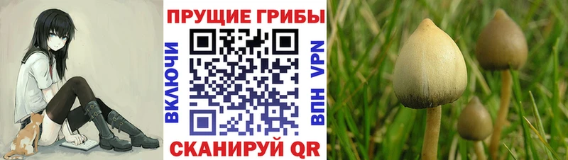 Псилоцибиновые грибы ЛСД  Павлово 