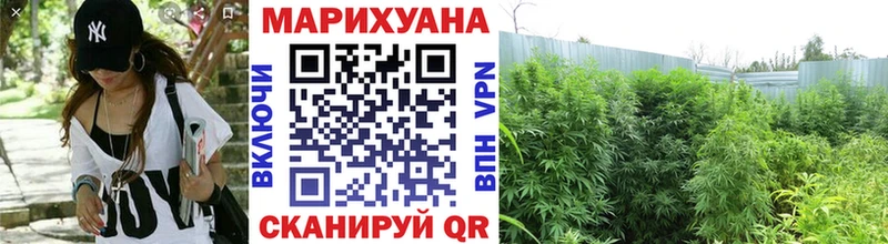 Бошки Шишки сатива  Павлово 